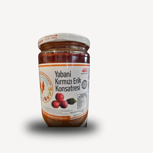 Pamukova Kadın Koop. Yabani Kırmızı Erik Konsantresi 600 gr ürün görseli 1