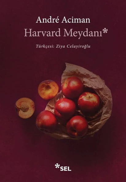 Harvard Meydanı - Resim 2