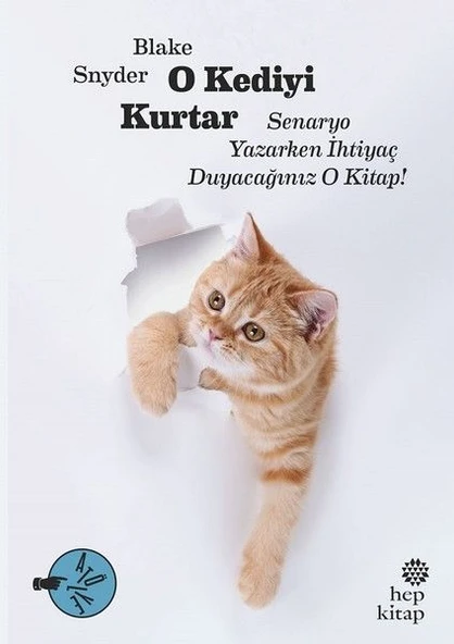 O Kediyi Kurtar: Senaryo Yazarken İhtiyaç Duyacağınız O Kitap! ürün görseli 1