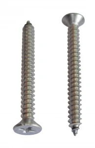 Havşa Başlı Yıldız Vida Dın7982 Ss304 M2.9X13, 49'Lu ürün görseli 1