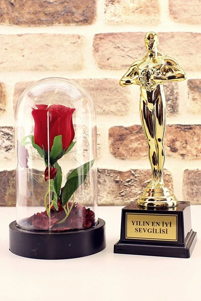 Yılın En Iyi Sevgilisi Oscar Ödülü Ve Led Işıklı Fanus Gül Seti Sevgiliye Özel Hediye ürün görseli 1