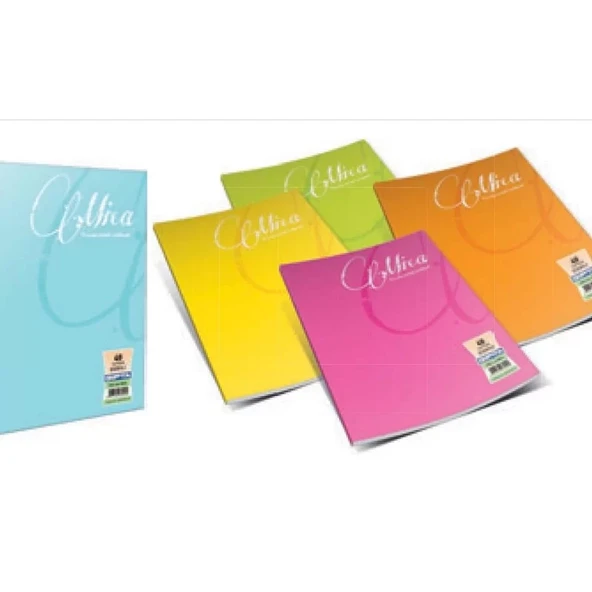 GIPTA MİCA PLASTİK KAPAK DEFTER A4 ÇİZGİLİ 100 YAPRAK (2488) ürün görseli 1
