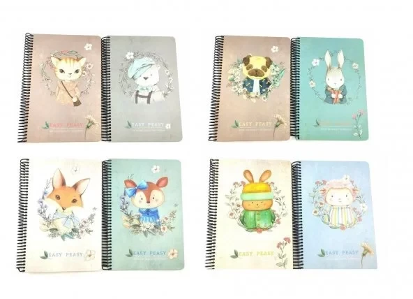 GIPTA EASY NOTES SPİRALLİ SERT KAPAK DEFTER 17x24 ÇİZGİLİ 120 YAPRAK (4743) ürün görseli 1
