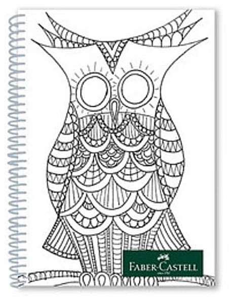 FABER-CASTELL STYLE SPİRALLİ DEFTER A4 ÇİZGİLİ 100 YAPRAK (5000018) ürün görseli 1