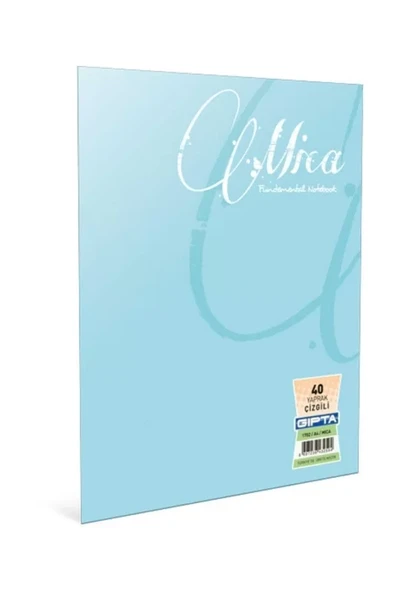 GIPTA OFSET MİCA PLASTİK KAPAK DEFTER A5 KARELİ 60 YAPRAK (2479) ürün görseli 1