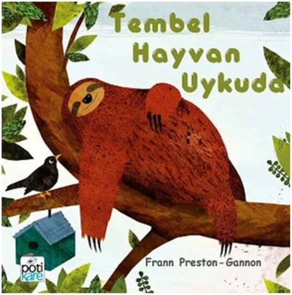 Tembel Hayvan Uykuda - Resim 2
