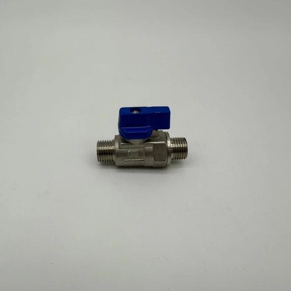 Mini Küresel Vana Erkek Erkek 1/4 - Resim 2