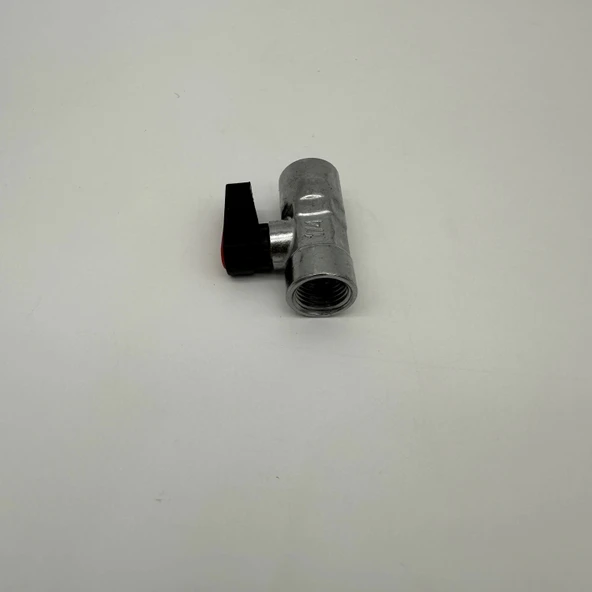 Mikro Mini Küresel Vana Dişi Dişi 1/4 - Resim 5