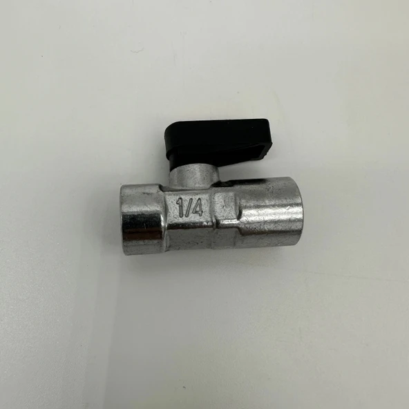 Mikro Mini Küresel Vana Dişi Dişi 1/4 - Resim 10