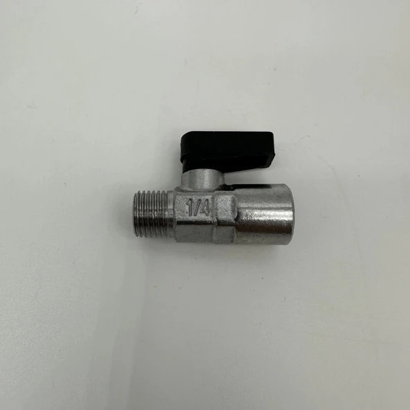 Mikro Mini Küresel Vana Erkek Dişi 1/4 - Resim 8