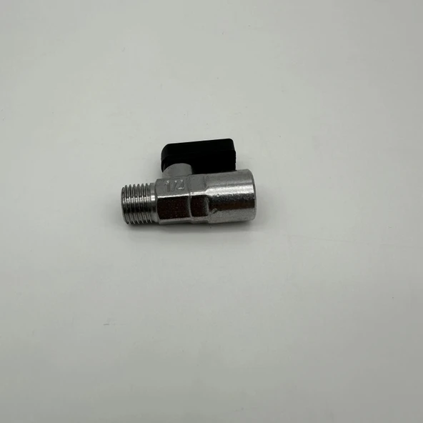 Mikro Mini Küresel Vana Erkek Dişi 1/4 - Resim 2