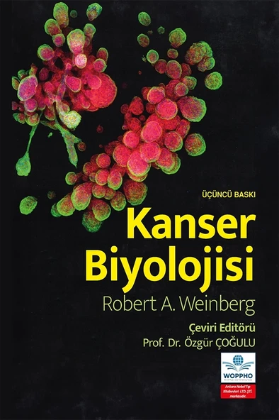 Kanser Biyolojisi - Resim 2