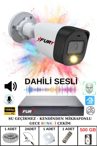 FURY 1 li Sesli Gece Renkli Görüş Güvenlik Kamerası Su Geçirmez Güvenlik Kamerası Seti 500GB ürün görseli 1