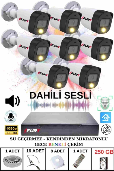 FURY 8 li Sesli Gece Renkli Görüş Güvenlik Kamerası Su Geçirmez Güvenlik Kamerası Seti 250GB ürün görseli 1