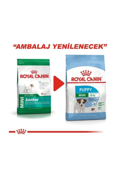 Mini Puppy 4 kg - Resim 3