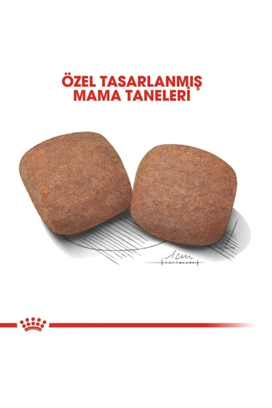 Royal Canin Giant Adult Dev Irk Köpek Maması 15 kg ürün görseli 1