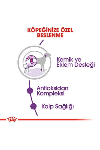 Royal Canin Giant Adult Dev Irk Köpek Maması 15 kg ürün görseli 1