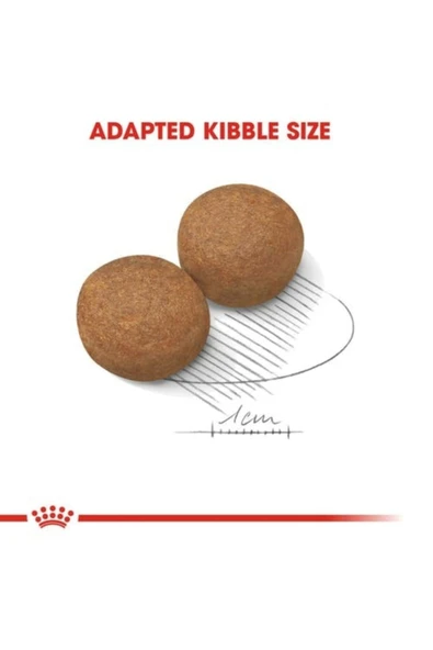 Royal Canin Maxi Adult Büyük Irk Yetişkin Köpek Maması 15kg ürün görseli 1