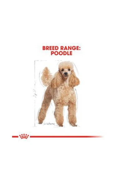 Royal Canin Poodle Adult Yetişkin Köpek Maması 3 kg ürün görseli 1