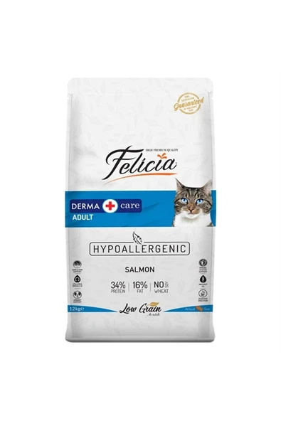 Derma Hipoalerjik Somonlu Kedi Maması 2 kg ürün görseli 1