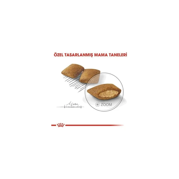 Ccn Mini Exigent Köpek Maması, 3 kg - Resim 4