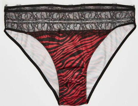 SATEN ZEBRA KÜLOT DS200006KU ürün görseli 1