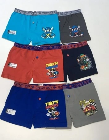 Tutku 6'lı Erkek Çocuk Elastan Baskılı Boxer (13-14 Yaş) 0253 ürün görseli 1