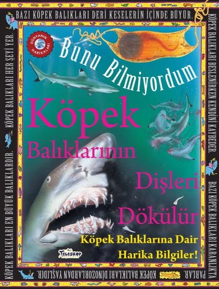 Köpek Balıklarının Dişleri Dökülür - Bunu Bilmiyordum - Köpek Balıklarına Dair Harika Bilgiler! ürün görseli 1