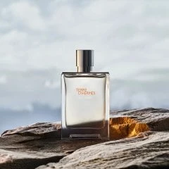 TERRE D HERMES EAU GIVREE 100ML EDP - Resim 3