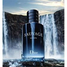 DIOR SAUVAGE EAU FORTE PARFUM 100ML - Resim 2