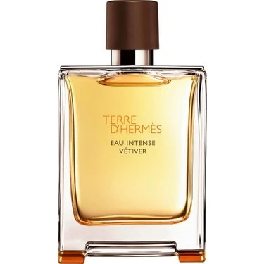 TERRE D HERMES EAU INTENSE VETIVER 100ML EDP ürün görseli 1