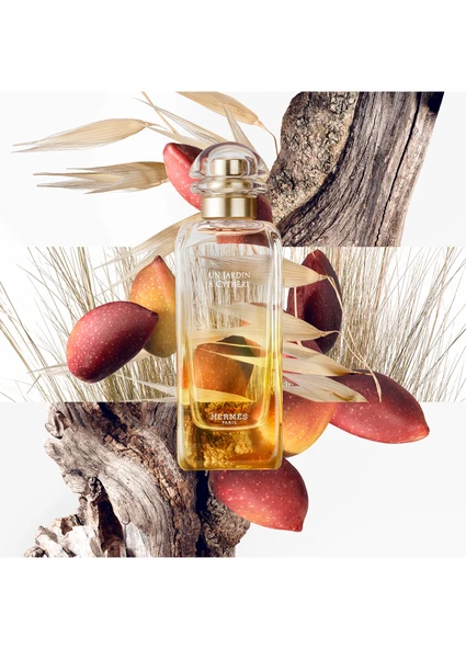 HERMES UN JARDIN A CYTHERE EDT 100 ML - Resim 3