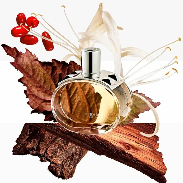 HERMES BARENIA 100ML EDP - Resim 2