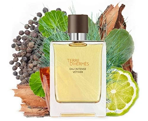 TERRE D HERMES EAU INTENSE VETIVER 100ML EDP - Resim 3