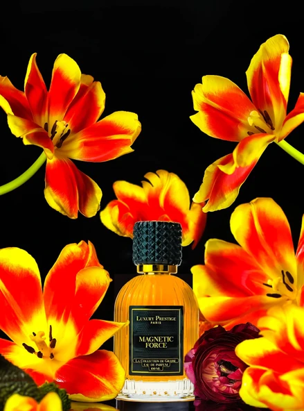 LUXURY PRESTIGE GRASSE MAGNETIC FORCE 100ML EDP - Resim 3