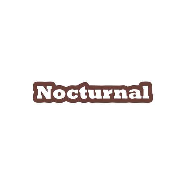Nocturnal Araba Sticker 17x17 Cm Kahverengi ürün görseli 1
