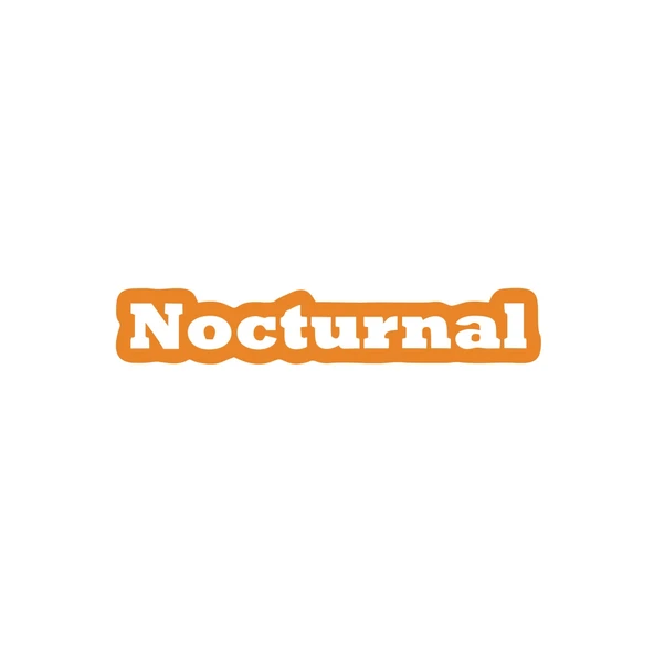 Nocturnal Araba Sticker 17x17 Cm Turuncu ürün görseli 1