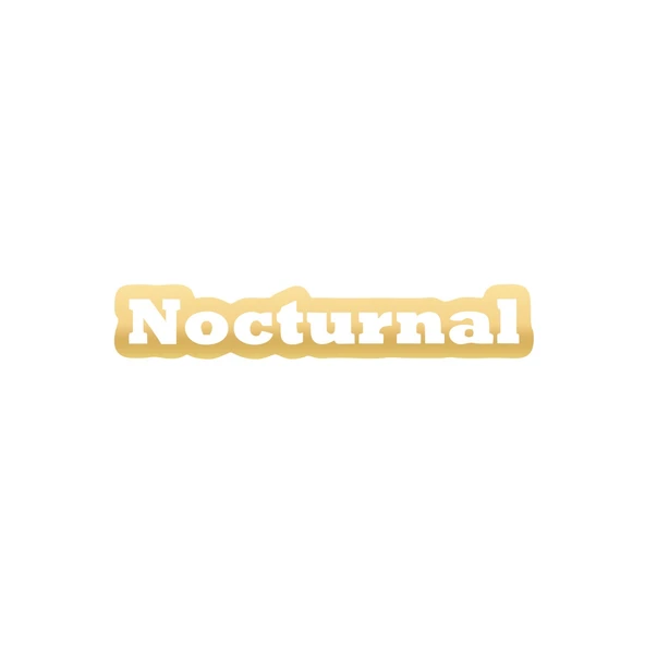 Nocturnal Araba Sticker 17x17 Cm Gold ürün görseli 1