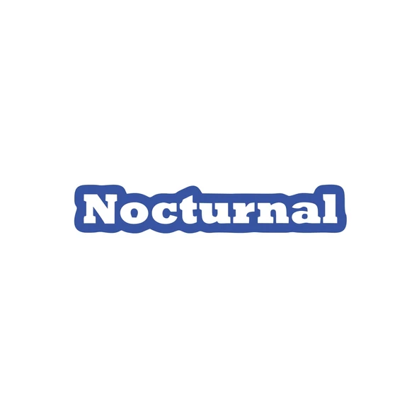 Nocturnal Araba Sticker 17x17 Cm Mavi ürün görseli 1