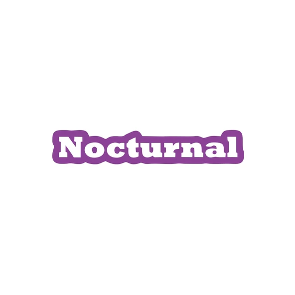 Nocturnal Araba Sticker 17x17 Cm Mor ürün görseli 1