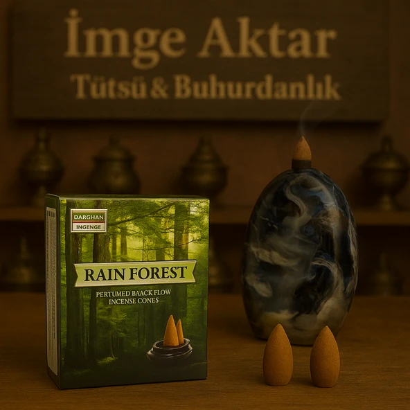 Darshan Rain Forset Geri Akış Tütsü 10 Adet ürün görseli 1
