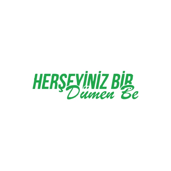 Her Şeyiniz Dümen be Araba Sticker 17x17 Cm Yeşil ürün görseli 1