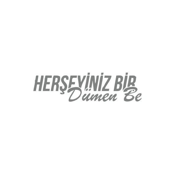 Her Şeyiniz Dümen be Araba Sticker 17x17 Cm Gri ürün görseli 1