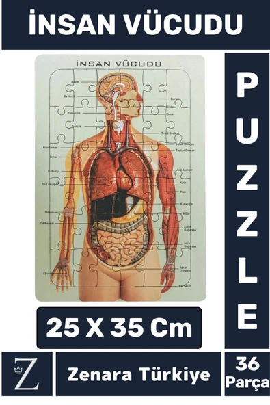 Premium Eğlenceli Eğitici Görsel Algı Motor Becerisi Geliştiren Çocuk PUZZLE 36 Parça İNSAN VÜCUDU ürün görseli 1