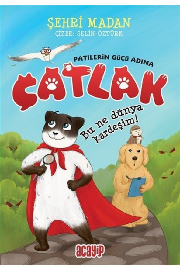 Çatlak / Bu Ne Dünya Kardeşim ürün görseli 1