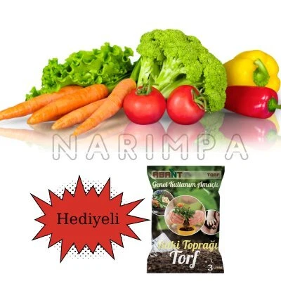 Narım 60 Adet Karışık Sebze Tohumu + Toprak Hediyeli ürün görseli 1