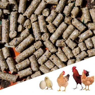 Narım 2 KG Pelet Proteinli Özel Tavuk Kaz Ördek ve Kanatlı Hayvan Besi Yumurta Yemi 2 KG ürün görseli 1