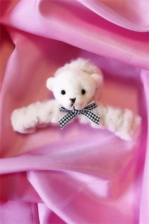 Ayıcıklı Bej Peluş Toka ürün görseli 1
