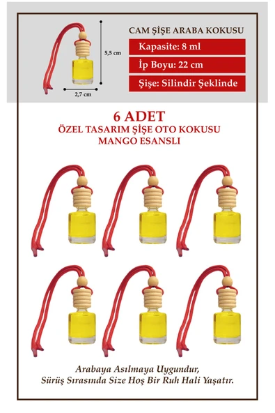 ByMeyla MANGO MEYVE ESANSLI 6 LI CAM ŞİŞEDE OTO KOKUSU VE OTO AKSESUARI ürün görseli 1