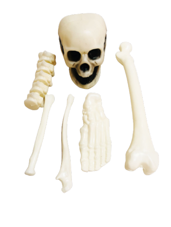 CADILAR BAYRAMI HALLOWEEN KEMİK VE KURUKAFA BEYAZ DEKOR SÜS ürün görseli 1